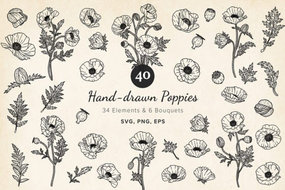 40 Hand-drawn Poppy Bouquets Elements