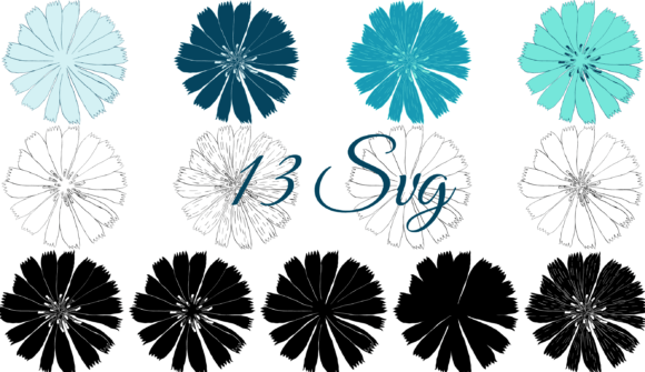 Organic Flower: Graphics & Illustrations for Creative Design