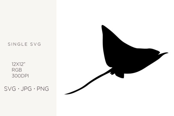 Rays Fish Graphics and Icons